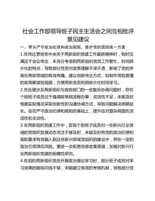 社会工作部领导班子民主生活会之间互相批评意见建议