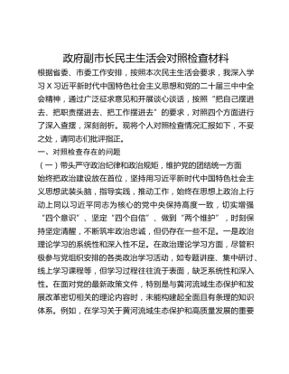 政府副市长民主生活会对照检查材料