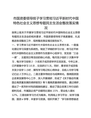 市国资委领导班子学习贯彻习近平新时代中国特色社会主义思想专题民主生活会整改落实情况