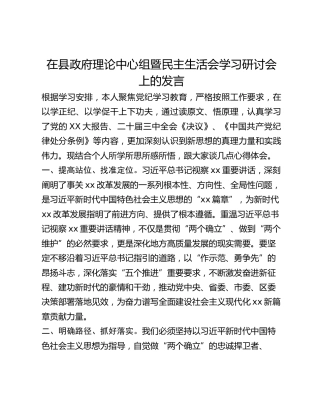 在县政府理论中心组暨民主生活会学习研讨会上的发言 (2)
