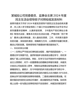 某城投公司党委委员、监事会主席2024年度民主生活会领导班子对照检视发言材料