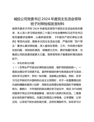 城投公司党委书记2024年度民主生活会领导班子对照检视发言材料