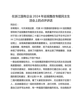 在浙江国有企业2024年巡视整改专题民主生活会上的点评讲话