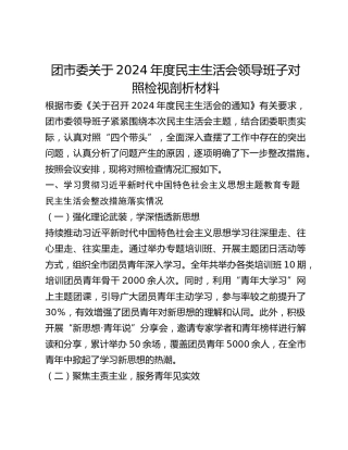 团市委关于2024年度民主生活会领导班子对照检视剖析材料