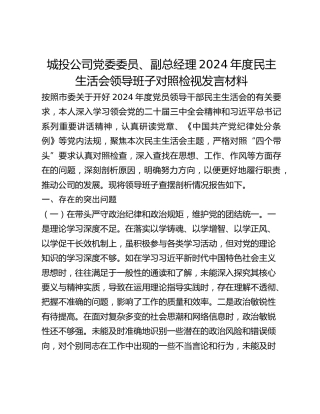 城投公司党委委员、副总经理2024年度民主生活会领导班子对照检视发言材料