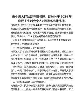 市中级人民法院党组书记、院长关于2024年度民主生活会个人对照检视剖析材料