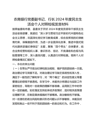 农商银行党委副书记、行长2024年度民主生活会个人对照检视发言材料