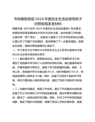 市检察院党组2024年度民主生活会领导班子对照检视发言材料 (2)