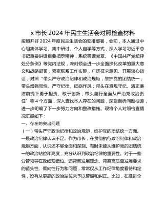 x市长2024年民主生活会对照检查材料