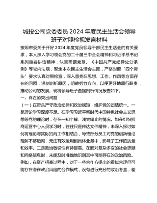 城投公司党委委员2024年度民主生活会领导班子对照检视发言材料