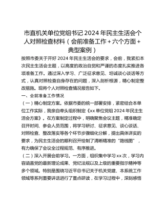 市直机关单位党组书记2024年民主生活会个人对照检查材料（会前准备工作六个方面典型案例）