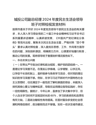 城投公司副总经理2024年度民主生活会领导班子对照检视发言材料