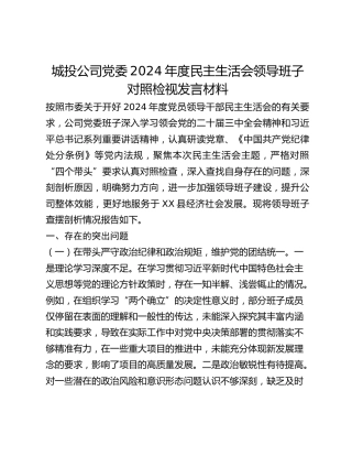 城投公司党委2024年度民主生活会领导班子对照检视发言材料