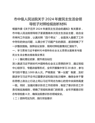 市中级人民法院关于2024年度民主生活会领导班子对照检视剖析材料