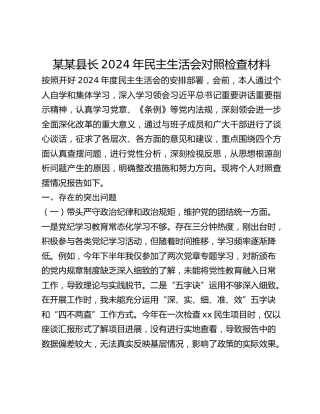 某某县长2024年民主生活会对照检查材料