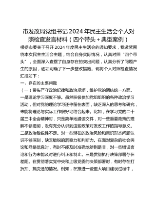 市发改局党组书记2024年民主生活会个人对照检查发言材料（四个带头典型案例）