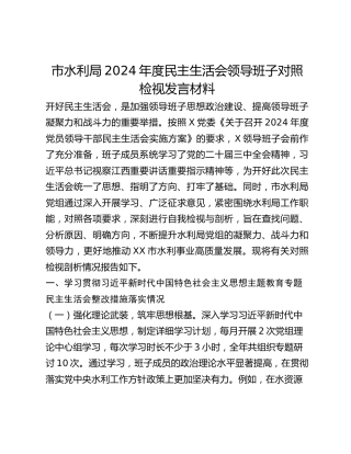 市水利局2024年度民主生活会领导班子对照检视发言材料