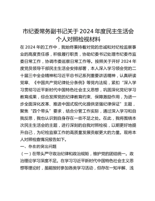 市纪委常务副书记关于2024年度民主生活会个人对照检视材料