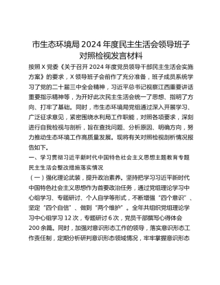 市生态环境局2024年度民主生活会领导班子对照检视发言材料