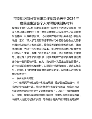市委组织部分管日常工作副部长关于2024年度民主生活会个人对照检视剖析材料