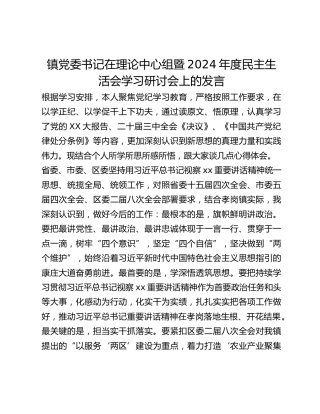 镇党委书记在理论中心组暨2024年度民主生活会学习研讨会上的发言