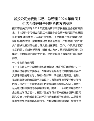 城投公司党委副书记、总经理2024年度民主生活会领导班子对照检视发言材料