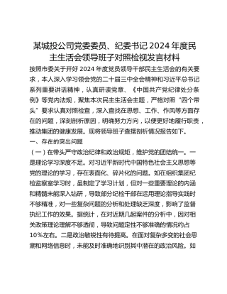 某城投公司党委委员、纪委书记2024年度民主生活会领导班子对照检视发言材料