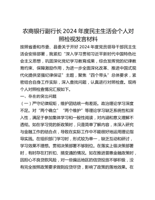 农商银行副行长2024年度民主生活会个人对照检视发言材料