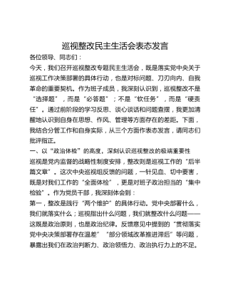 巡视整改民主生活会表态发言 (2)