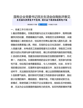 国有企业党委书记民主生活会自我批评意见