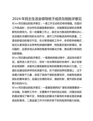 年民主生活会领导班子成员互相批评意见