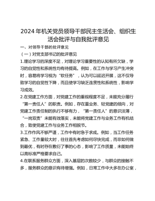 年机关党员领导干部民主生活会、组织生活会批评与自我批评意见