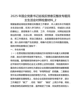 2025年国企党委书记巡视反馈意见整改专题民主生活会对照检查材料_2