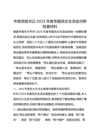 市局党组书记2025年度专题民主生活会对照检查材料