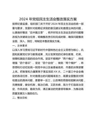 2024 年党组民主生活会整改落实方案