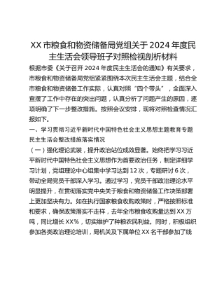 XX市粮食和物资储备局党组关于2024年度民主生活会领导班子对照检视剖析材料