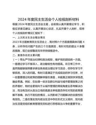 XX局党组书记2024年度民主生活会个人检视剖析材料