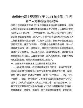 市供电公司主要领导关于2024年度民主生活会个人对照检视剖析材料