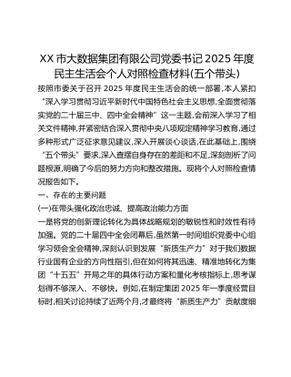 XX市大数据集团有限公司党委书记2025年度民主生活会个人对照检查材料(五个带头)