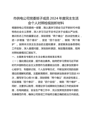 市供电公司党委班子成员2024年度民主生活会个人对照检视剖析材料