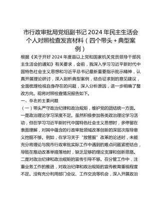 市行政审批局党组副书记2024年民主生活会个人对照检查发言材料（四个带头典型案例）