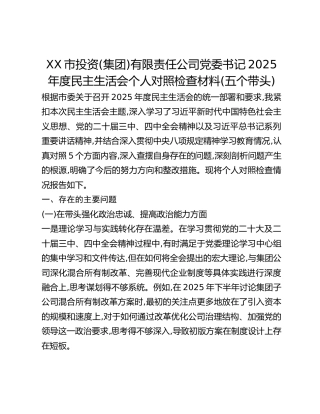 XX市投资(集团)有限责任公司党委书记2025年度民主生活会个人对照检查材料(五个带头)