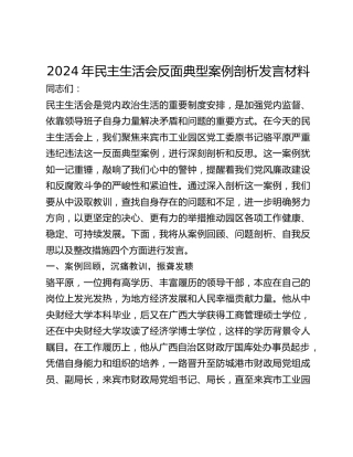 2024年民主生活会反面典型案例剖析发言材料 (2)