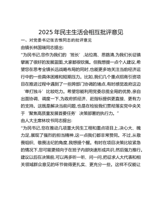 2025年民主生活会相互批评意见