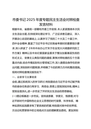 市委书记2025年度专题民主生活会对照检查发言材料