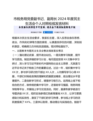 市税务局党委副书记、副局长2024年度民主生活会个人对照检视发言材料
