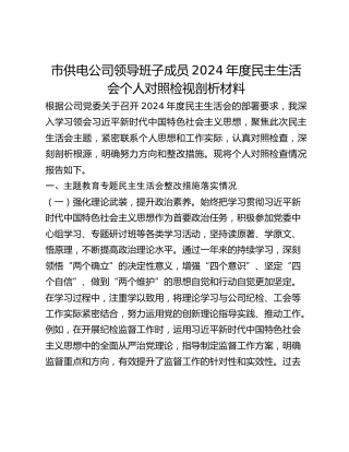 市供电公司领导班子成员2024年度民主生活会个人对照检视剖析材料