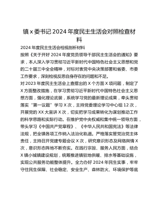 镇x委书记2024年度民主生活会对照检查材料