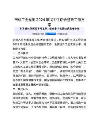 市总工会党组2024年民主生活会整改工作方案