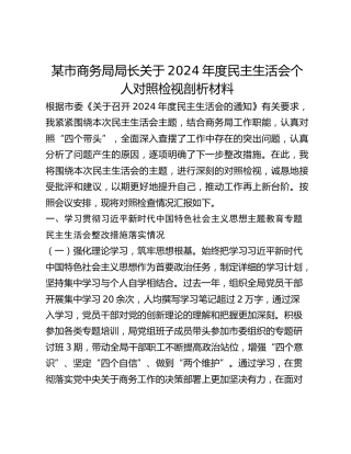 某市商务局局长关于2024年度民主生活会个人对照检视剖析材料